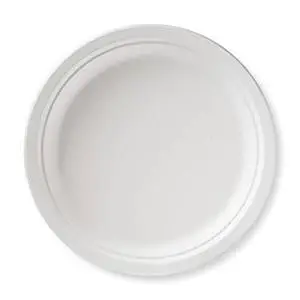 9" Bagasse Sugarcane Plates (Case of 500)
