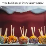 4 1/2" X 1/4" Semi Pointed Candy Apple Sticks Box - Image 2
