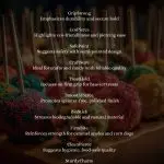 6" x 1/4" Semi Pointed Candy Apple Stick Box (Item CDS60SP) - Image 5