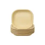 Palm Leaf Plate 4- Pack