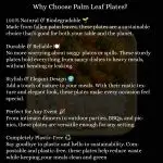 Palm Leaf Plate 6 - Image 5