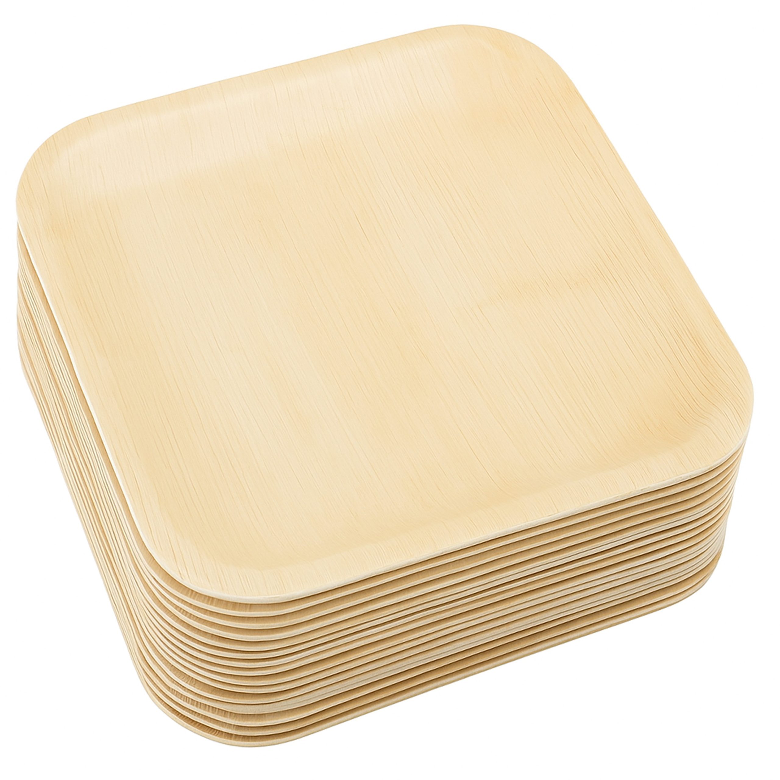 Palm Leaf Plate.3 Palm Leaf Plate 10 - Image 1