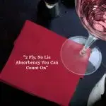 2 Ply Burgundy Beverage Napkins - Image 7