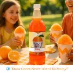 25oz Gold Medal Snow Cone Syrup (Orange) - Image 2