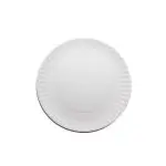 Paper Plate