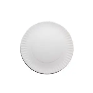 Paper Plate