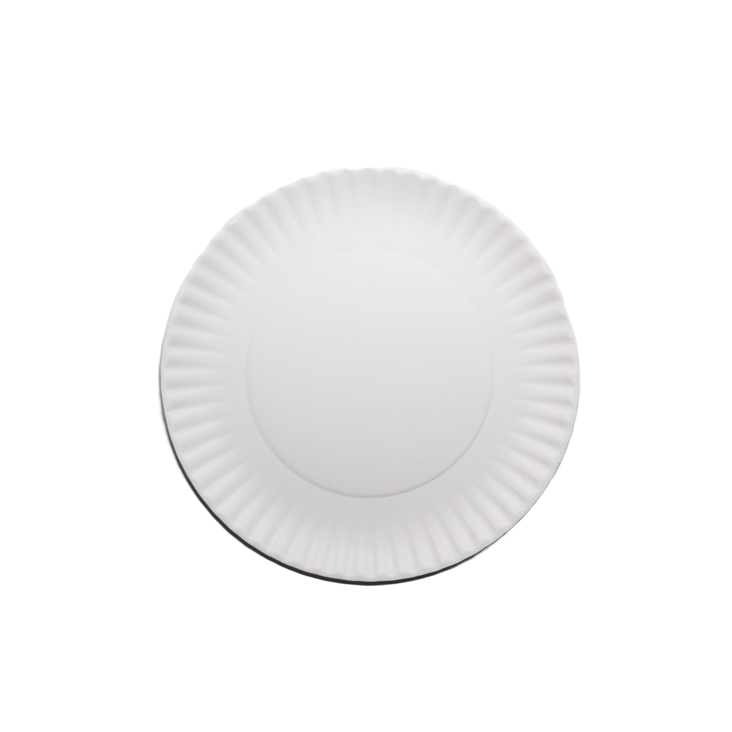 Paper Plate 9 Paper Plate