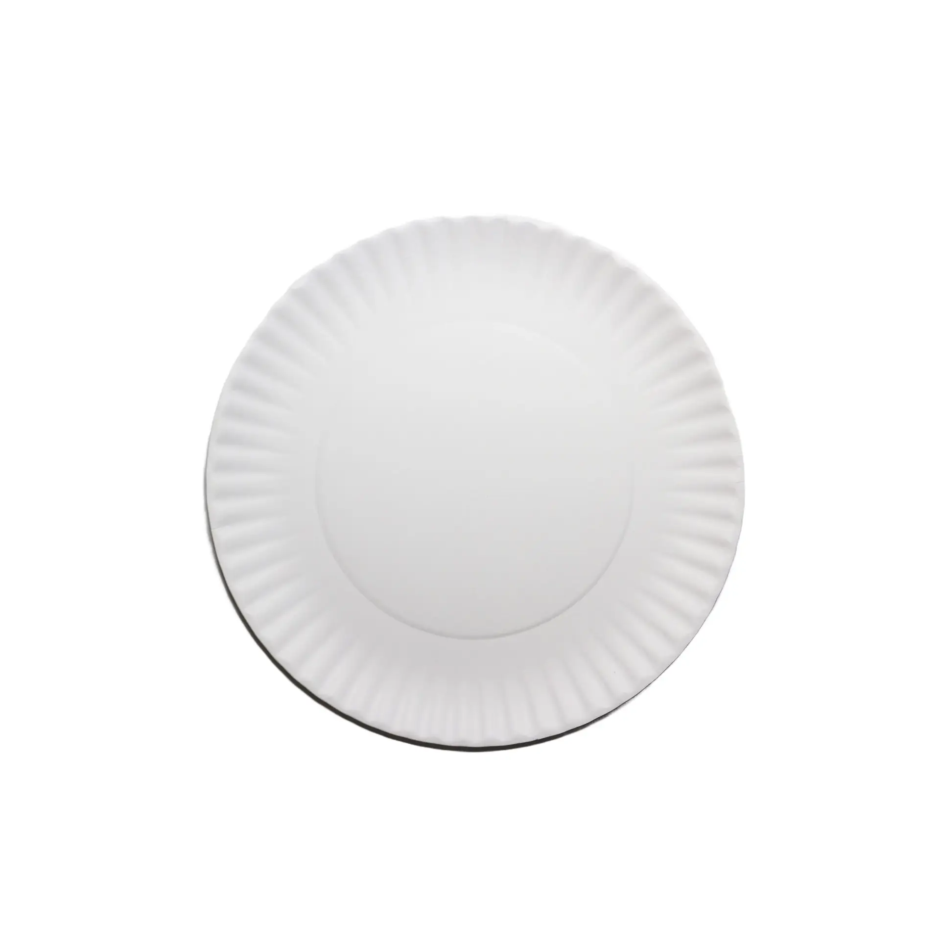 Paper Plate 9 Paper Plate