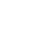 Holiday collection Large