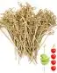 7 Inch Bamboo Knot Picks - Appetizer, Sandwich, & Cocktail Drinks Skewer Toothpick